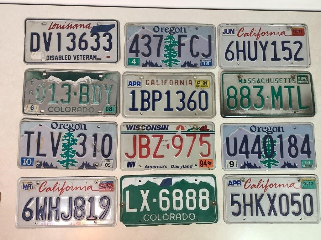 12 Automobile License Plates