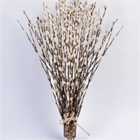 MSRP $18 Pussy Willow Stems