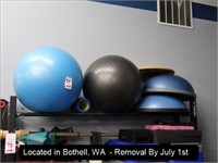 LOT, (2) BOSU BALLS & (2) EXERCISE BALLS