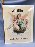 Choice on 6 (243-248): pin up posters:  Wildlife i