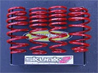 SKUNK2 LOWERING SPRINGS FOR HONDA CIVIC 92-95