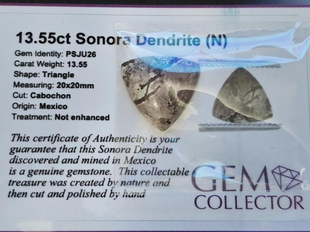 13.55ct Sonora Dendrite
