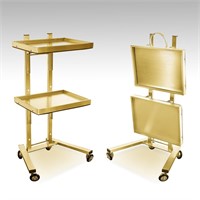 Stainless Steel Salon Tray on Wheels for Tattoo M