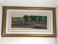 Pencil Signed Seriolithograph. Framed  under