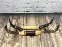 Pair of Cow Horns w/Mounts