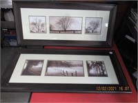 2 nice 36 x 16 Pictures in Wood Frame