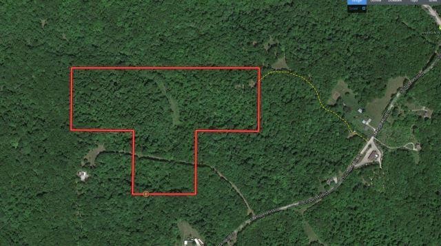 40 Acre Southern Indiana Hunting Land | Auction