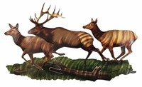 Running Elk Wall Art