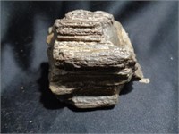 Petrified wood sample from the American Southwest