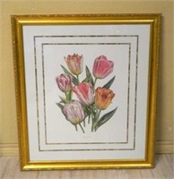 "Tulipes Hatives" Gilt Framed Botanical Print.