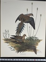 "Mourning Dove" by Ray Harm