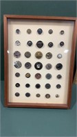 Lot of Antique Buttons in Dispaly Case