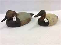Lot of 2 Canvasback Drakes Including Low Head