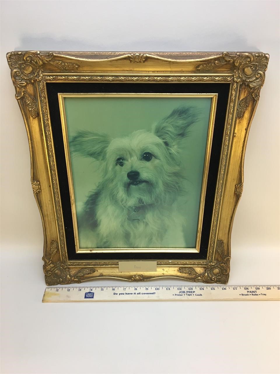 Vintage "Boss" Dog Portrait