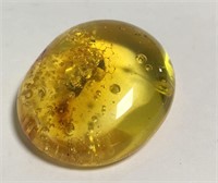 Baltic Amber Cabochon