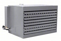 DAYTON Gas Wall and Ceiling Unit Heater: 300,000