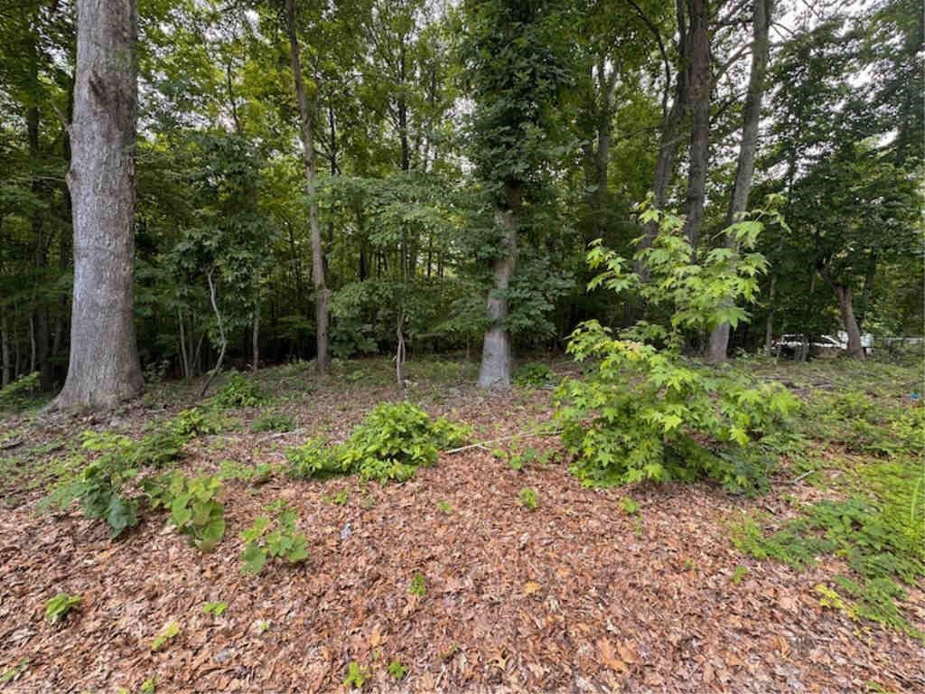 Offering #2 - 0.19 acre lot