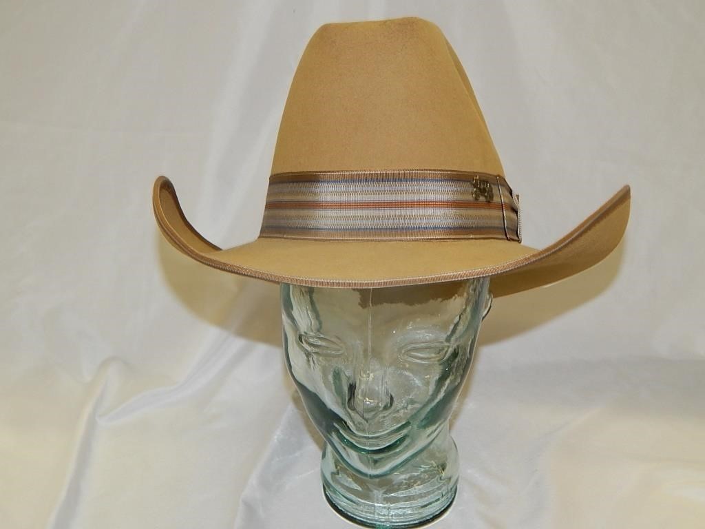 Resistol Stagecoach Cowboy Hat