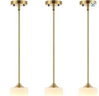 BYOLIIMA Modern Gold Pendant Light 3 Pack