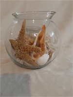 Glass container with sea shells, star fish, and