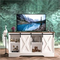 Boloni TV Stand with Sliding Barn Door