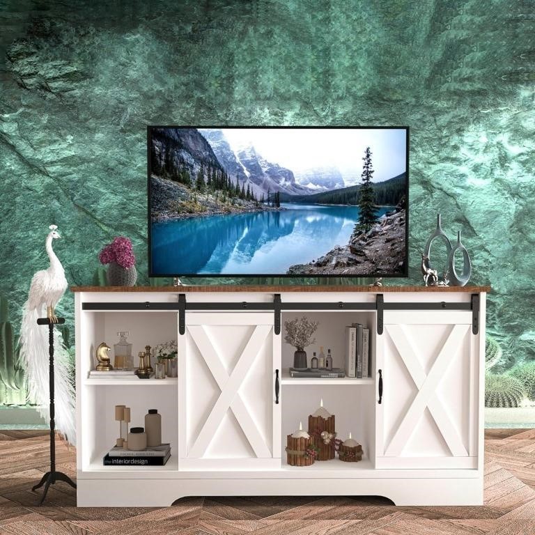 Boloni TV Stand with Sliding Barn Door