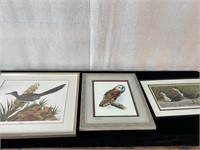 3pc Bird Prints: Roadrunner, Owl, Skimmers