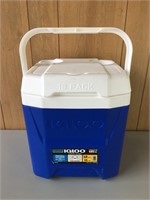 Igloo 12 Quart Cooler