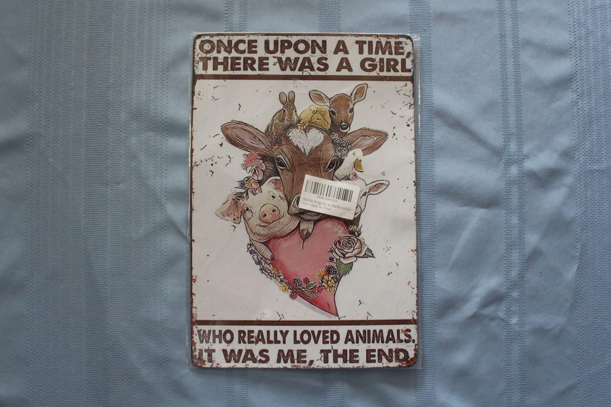 Retro Tin Sign: Once Upon A Time, There Was A Girl