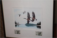 The 2nd Maryland Migratory Waterfowl print
