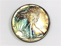 1988 One Ounce American Silver Eagle Dollar, Toned
