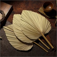 Sggvecsy Dried Palm Leaves 4 Pieces 18.1 Natural