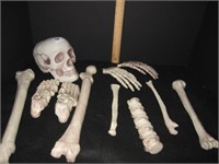 Scary Skeleton Bones
