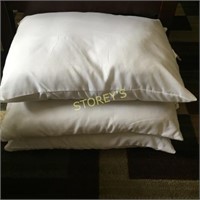 3 Pillows (No Case)