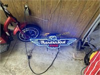 Ford Thunderbird Neon Light