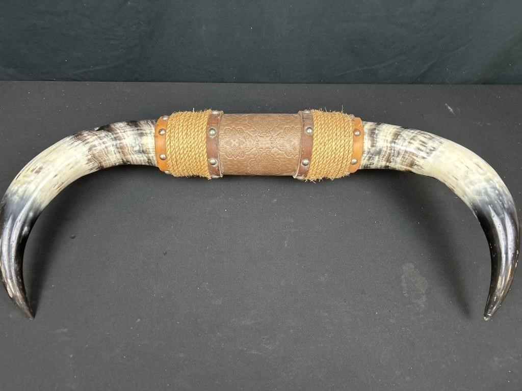 Mounted horns 23 inches wide
