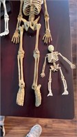 5 skeletons