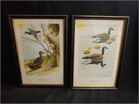 Two Framed Waterfowl Prints