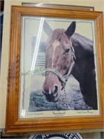 Box lot signs, Secretariat picture,  picture by