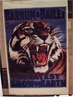 Kodak Transparent 4 X 5 Barnum & Bailey Tiger