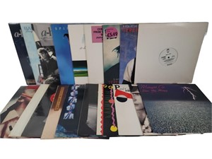 Lot Of 20 Albums & 12 Inches