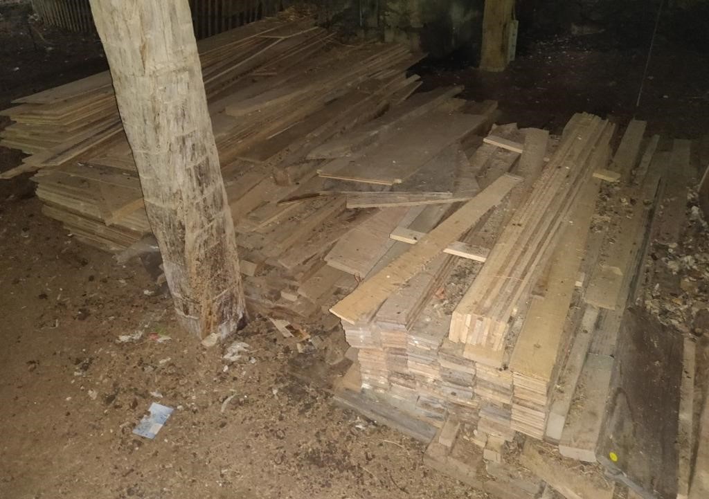 Wood Pile