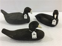 Lot of 3 Coots-Including 2-Unknown Carvers