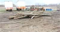 Black Walnut Logs