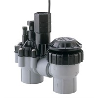 Rain Bird 3/4 in. FPT Anti-Siphon Valve