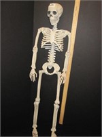 Awesome Posable Skeleton