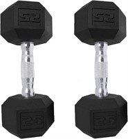 Dumbbells Set of 2 Exercise