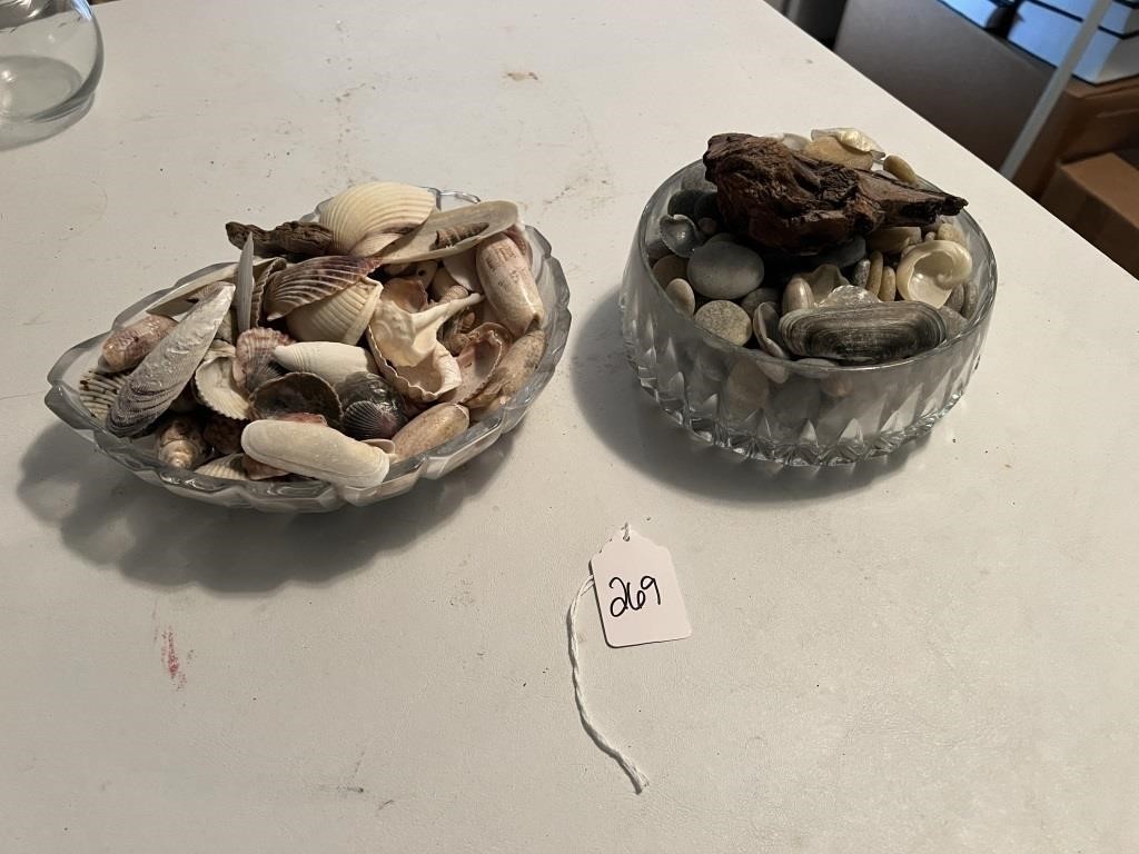 Crystal Bowls with Sea Shells