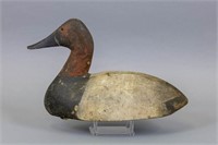 Early Bull Canvasback Drake Duck Decoy by Unknown