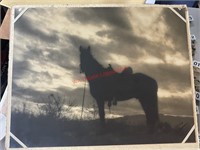 Antique Photo Print of Horse (living room)